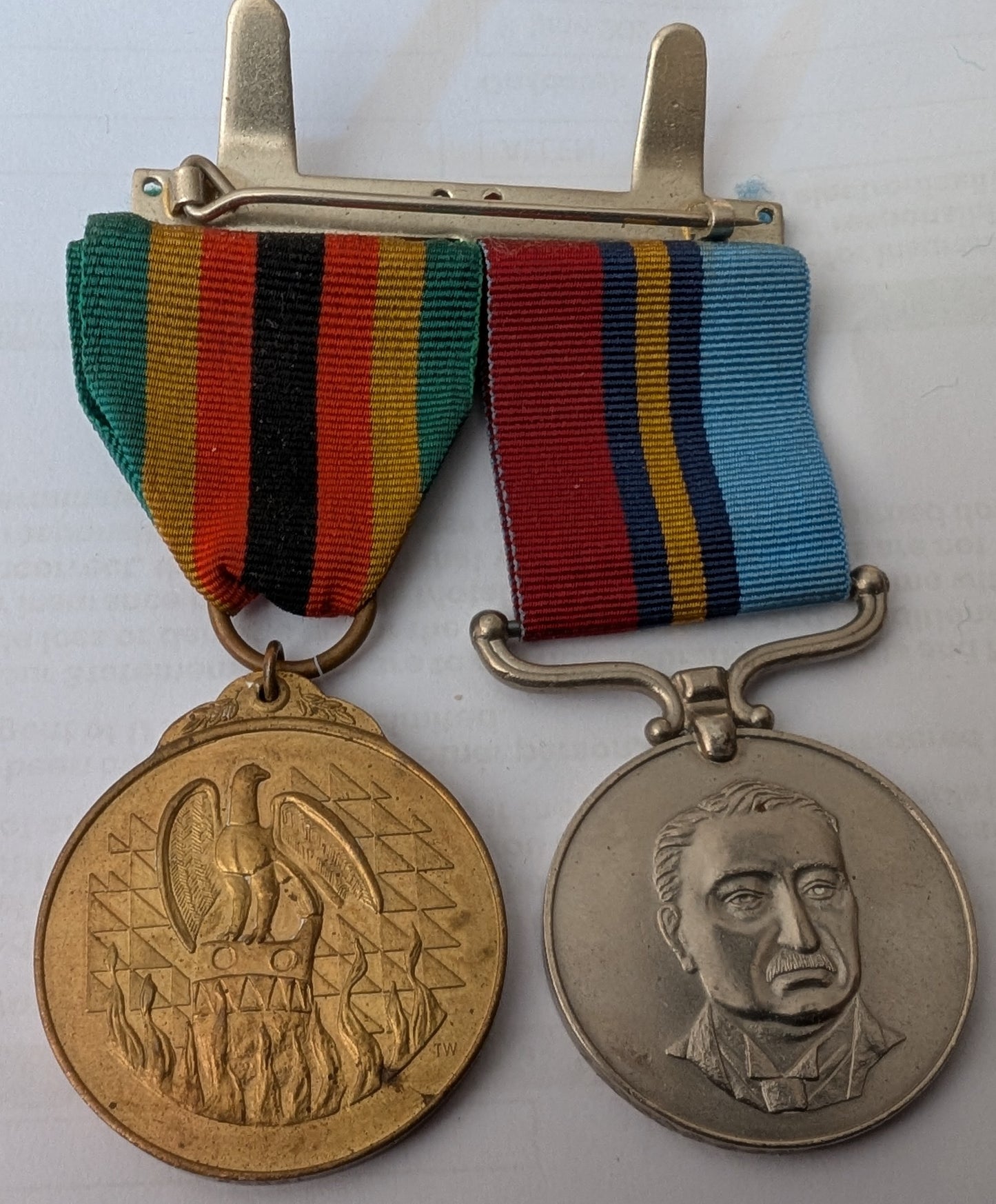 Rhodesian war pair Awarded to female Sgt Gledall-Royal Artillery