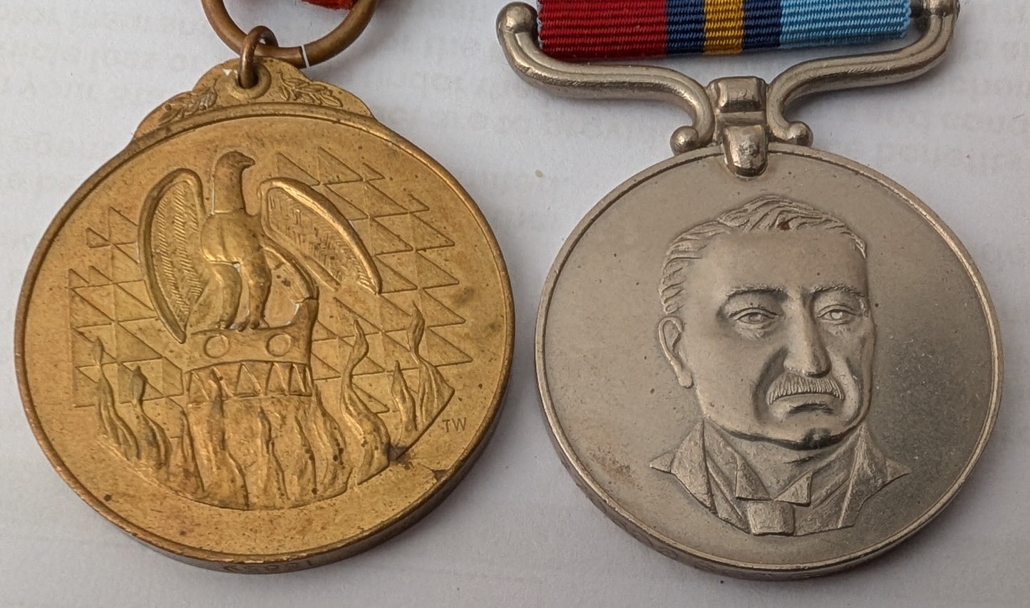 Rhodesian war pair Awarded to female Sgt Gledall-Royal Artillery