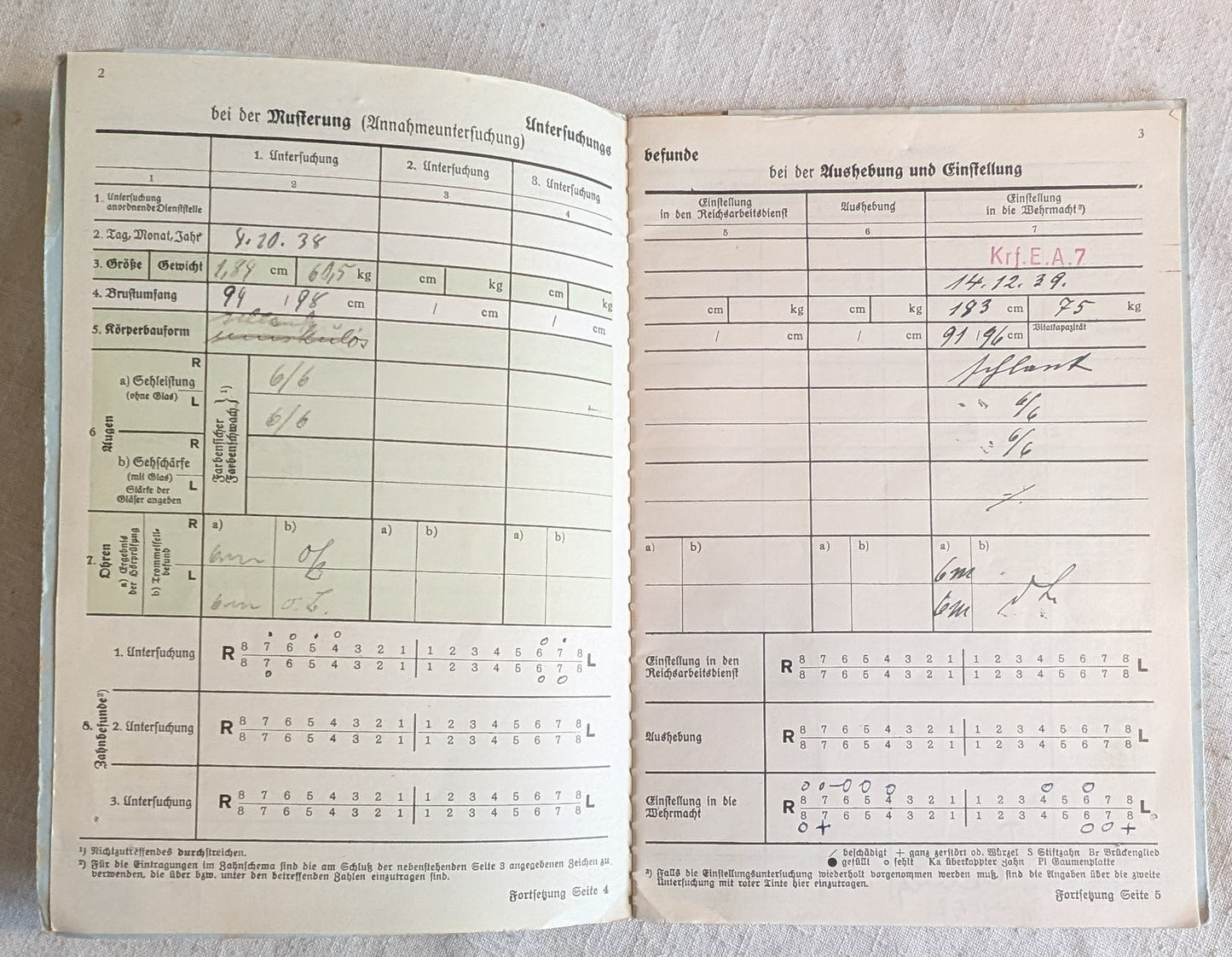 WW2-German ID Gesundheitsbuch & Documents