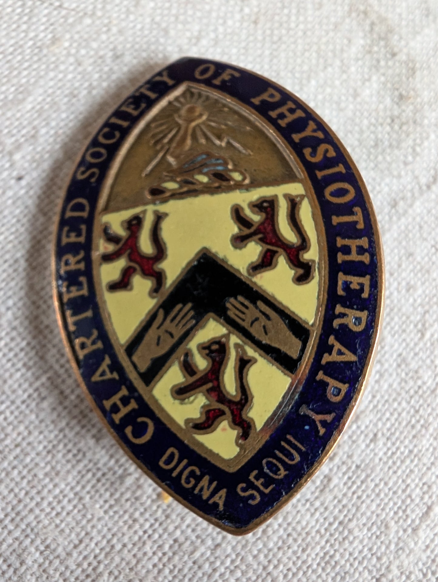 Nursing, St John Ambulance, Red Cross vintage & Rare Badge Collection